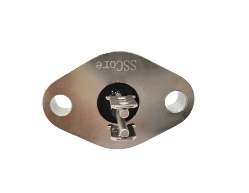 ELAN 48 Glasmaterialen Glas Metaal Afdichtingen met 2 Pin Nummers Ideaal voor Elektronische Componenten en Sensoren